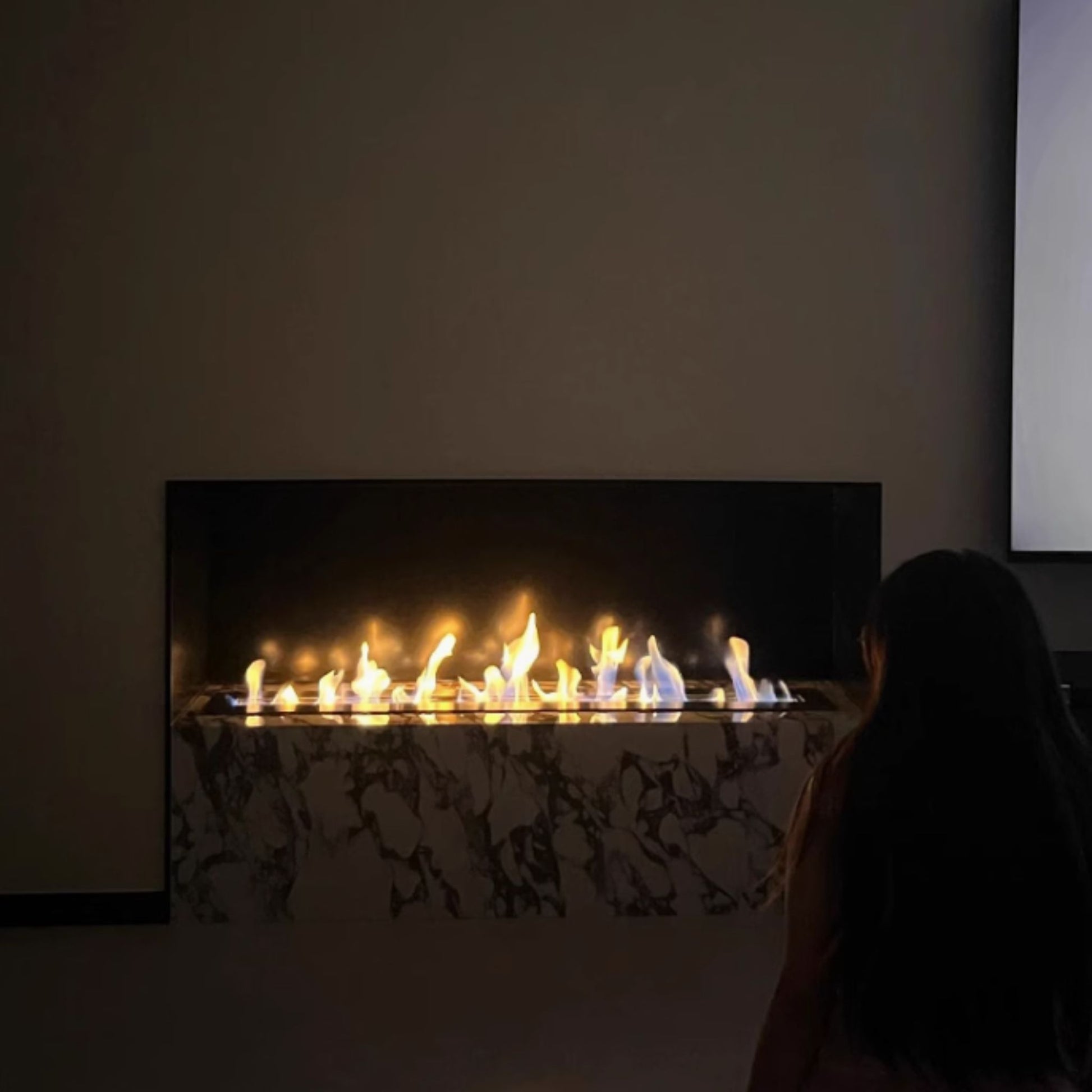 0.8m Front-View Fireplace Insert